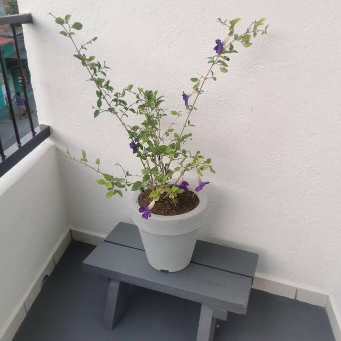 Lovely Studio Apartment With Balcony Ac & Wi-Fi, Minutes From Downtown! Ζιουατανέχο Εξωτερικό φωτογραφία